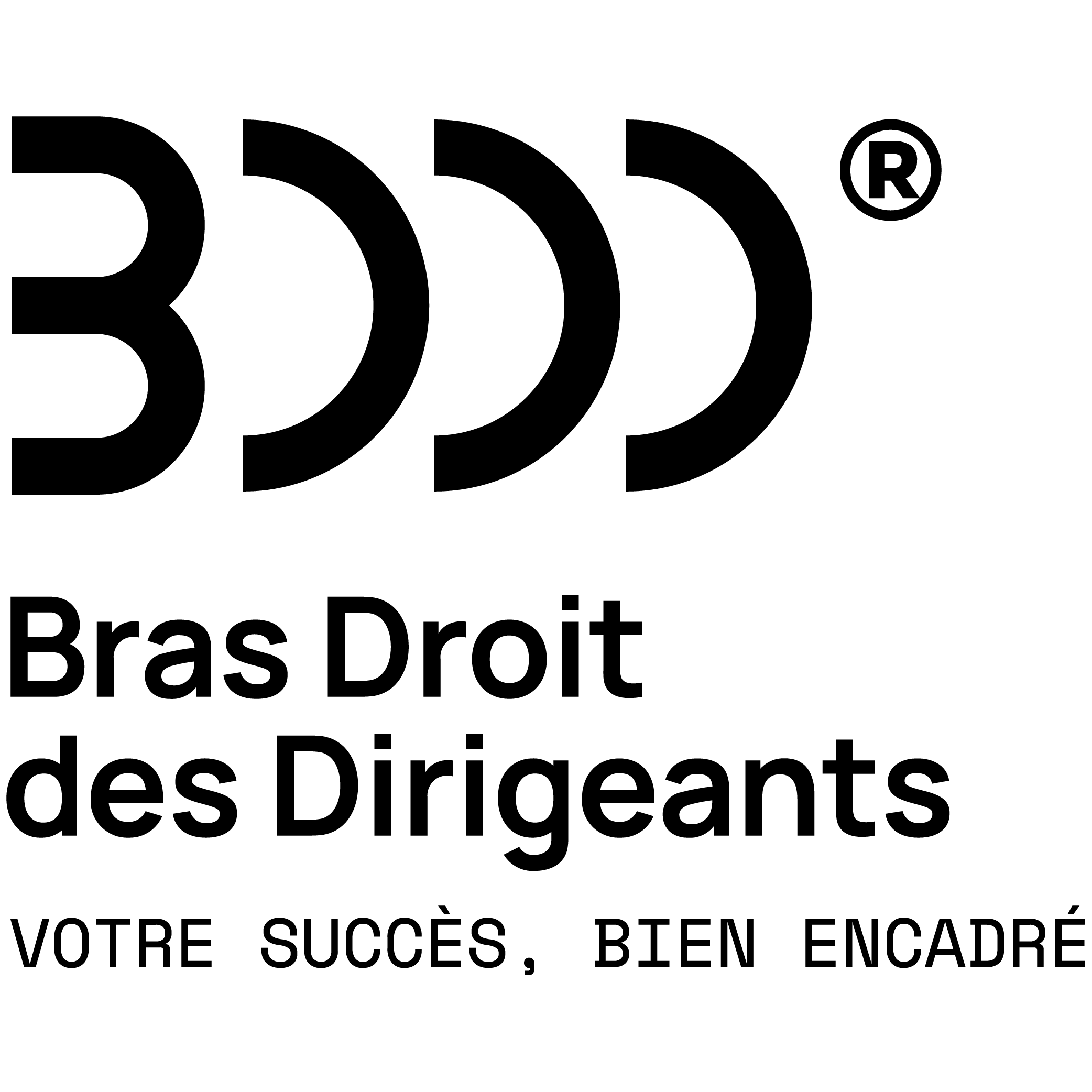 Logo du Bras Droit des Dirigeants